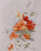 Aquarelschilderijen Rita Hamstra - Thema Bloemen 7